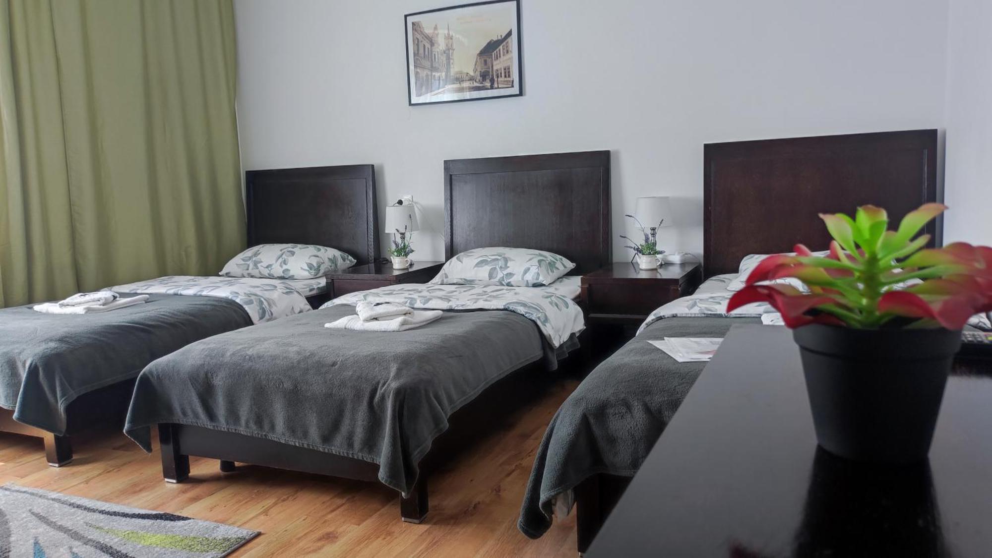 Casa de oaspeti Wallendorf Bistrita Unirea Bistriţa Quarto foto